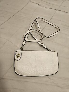 Joy Susan Mini Crossbody Clutch